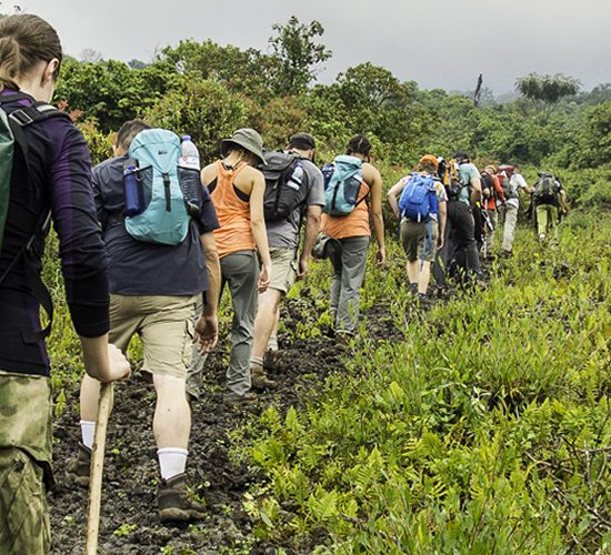 3 Days Mountain Nyiragongo Hiking Adventure, Tour Rwanda, visit Rwanda, Rwanda tour, Rwanda gorilla tours, Rwanda gorilla safaris, Gorilla trekking trips in Rwanda, Rwanda safaris