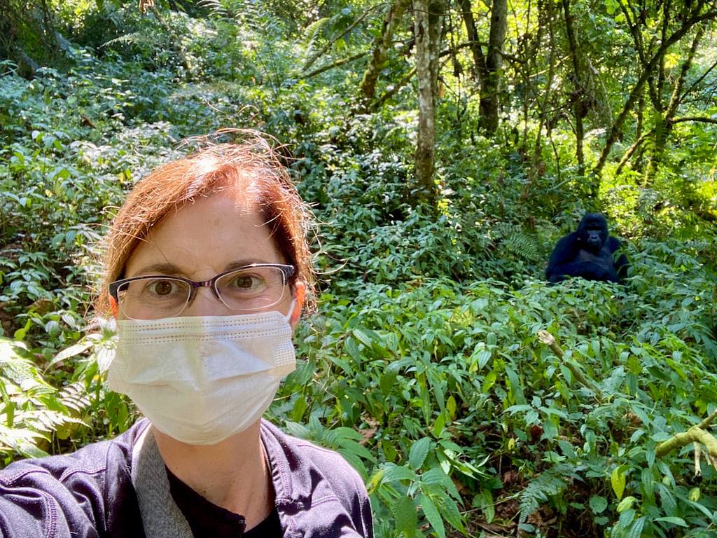 Meeting mountain gorillas in volcanoes national park Rwanda