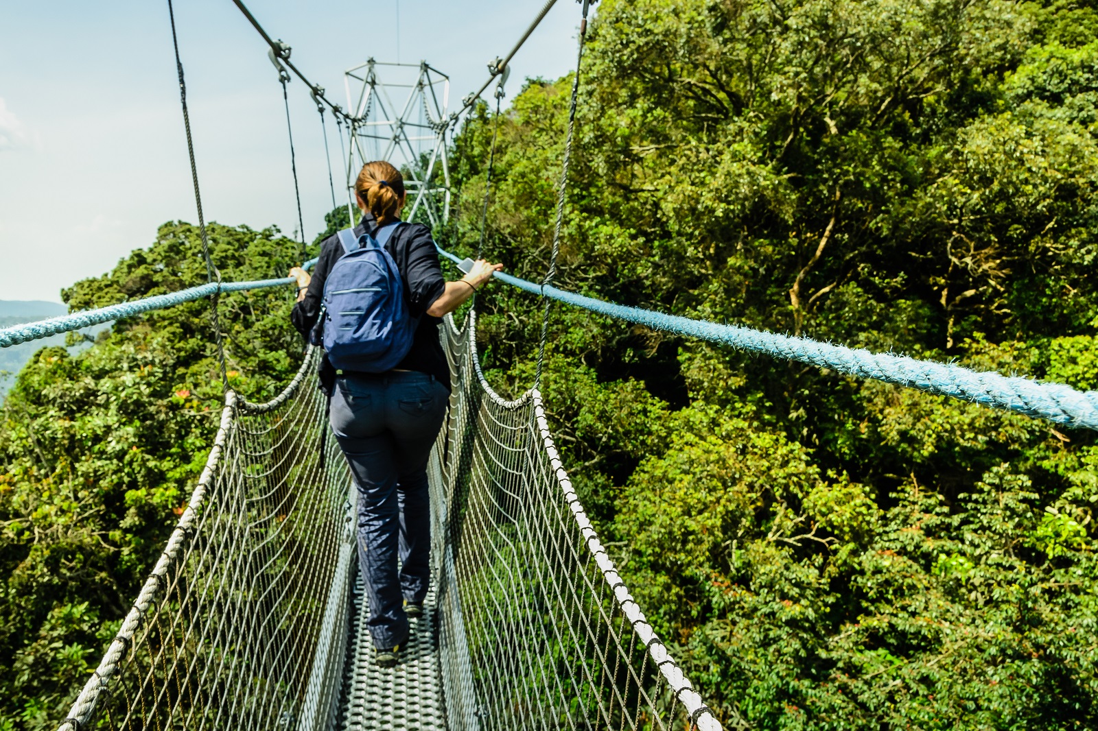 The canopy walk in the Nyungwe forest National Park