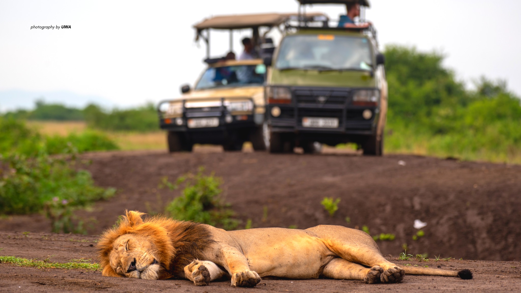 How to get to Akagera national park